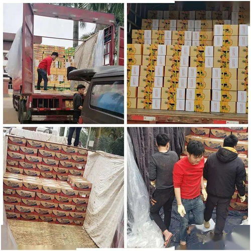 同舟共冀，共同戰(zhàn)“疫”——河北博泉集團(tuán)捐贈32噸澄邁農(nóng)產(chǎn)品支援抗疫一線